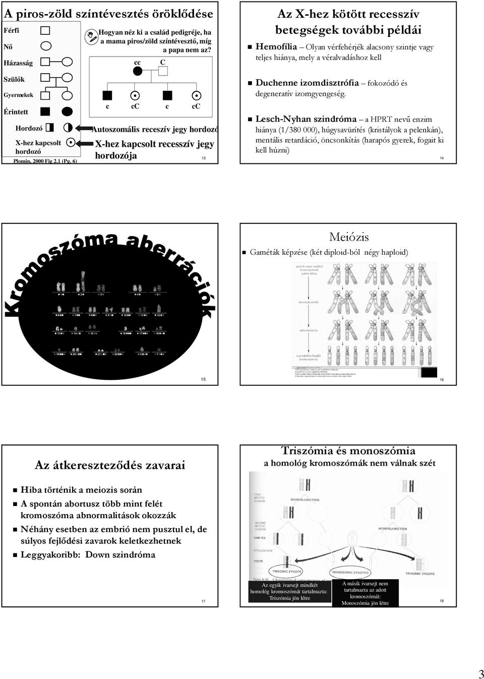 hordozó Plomin, 2000 Fig 2.1 (Pg. 6) c cc c cc Autoszomális receszív jegy hordozó X-hez kapcsolt recesszív jegy hordozója 13 Duchenne izomdisztrófia fokozódó és degeneratív izomgyengeség.