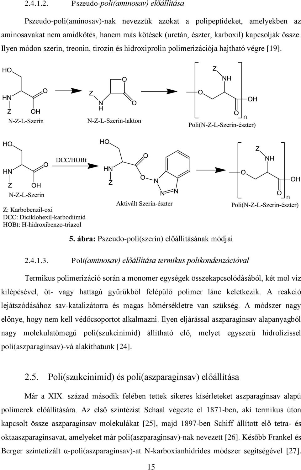 Poli(aminosav) előállítása termikus polikondenzációval Termikus polimerizáció során a monomer egységek összekapcsolódásából, két mol víz kilépésével, öt- vagy hattagú gyűrűkből felépülő polimer lánc