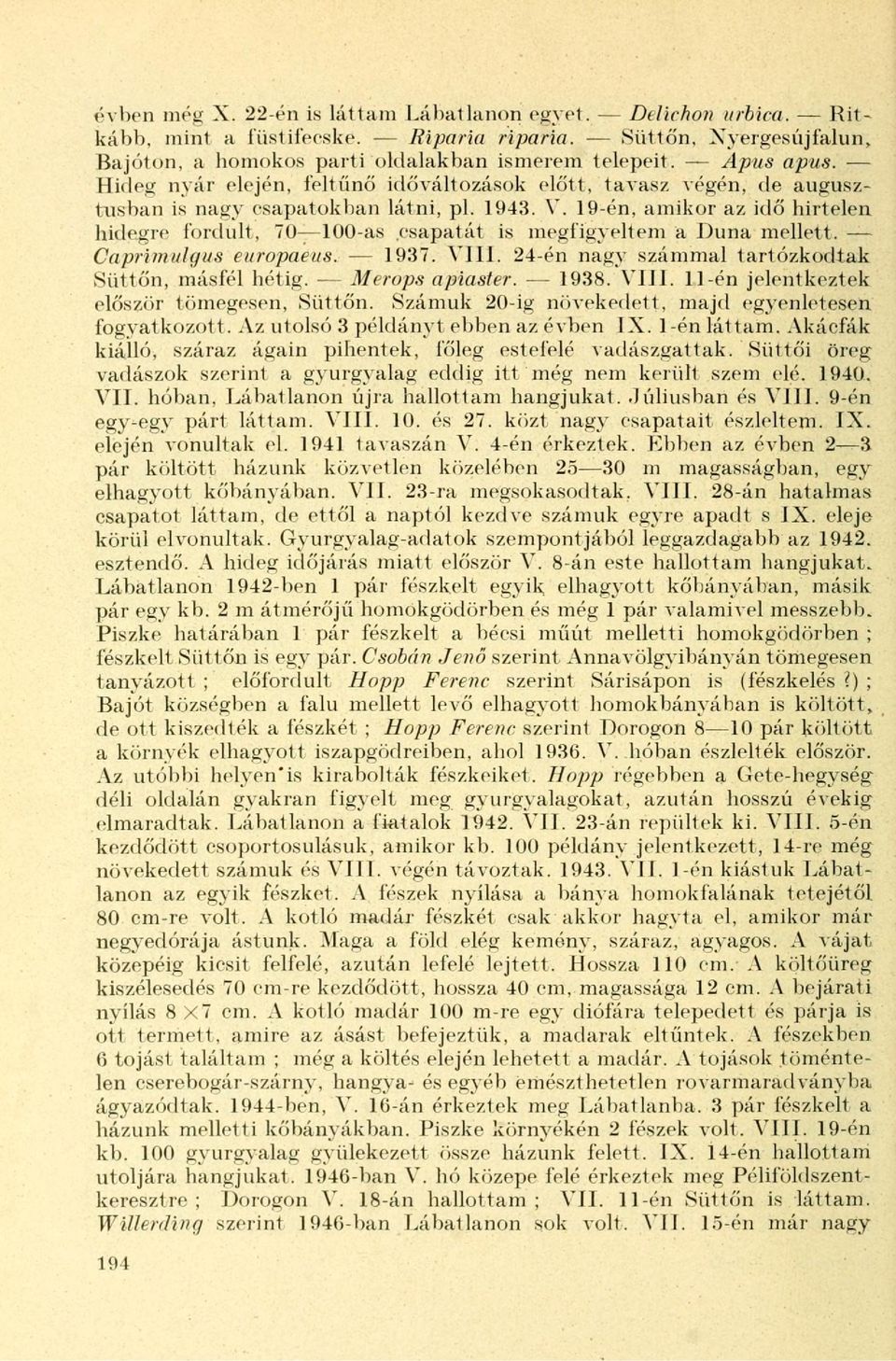 19-én, amikor az idő hirtelen hidegre fordult, 70 100-as csapatát is megfigyeltem a Duna mellett. Caprimulgus europaeus. 1937. Vili. 24-én nagy számmal tartózkodtak Süttőn, másfél hétig.