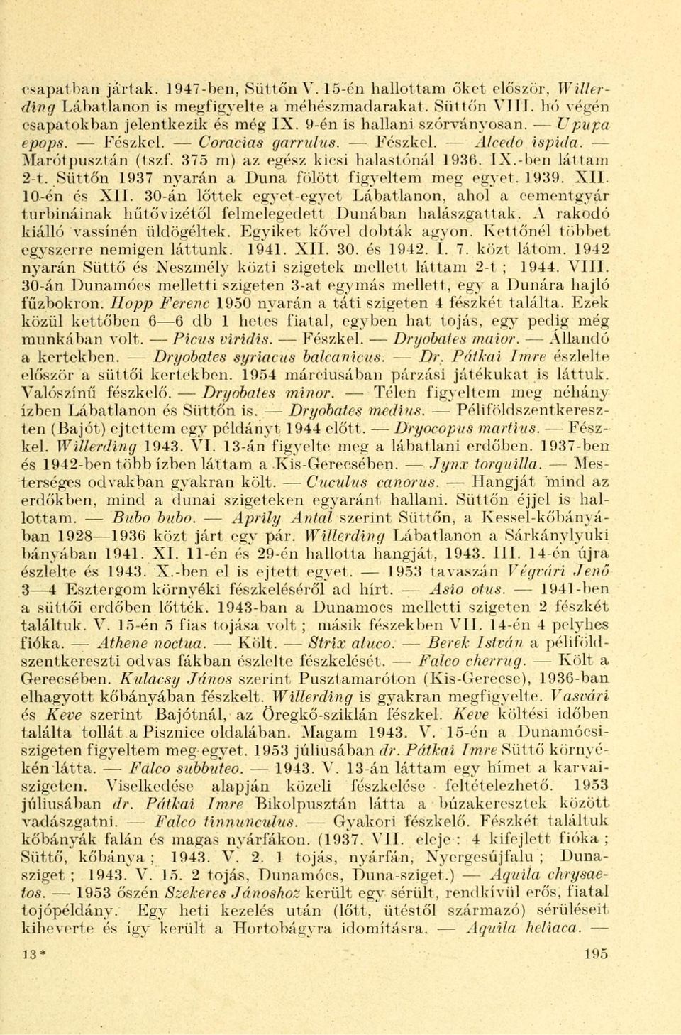 Süttőn 1937 nyarán a Duna fölött figyeltem meg egyet. 1939. XII. 10-én és XII. 30-án lőttek egyet-egyet Lábatlanon, ahol a cementgyár turbináinak hűtővizétől felmelegedett Dunában halászgattak.