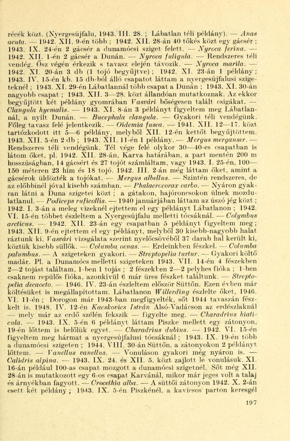 XI. 23-án 1 példány; 1943. IV. 15-én kb. 15 db-ból álló csapatot láttam a nyergesújfalusi szigeteknél ; 1943. XI. 29-én Lábatlannál több csapat a Dunán ; 1943. XI. 30-án nagyobb csapat ; 1943. XII.