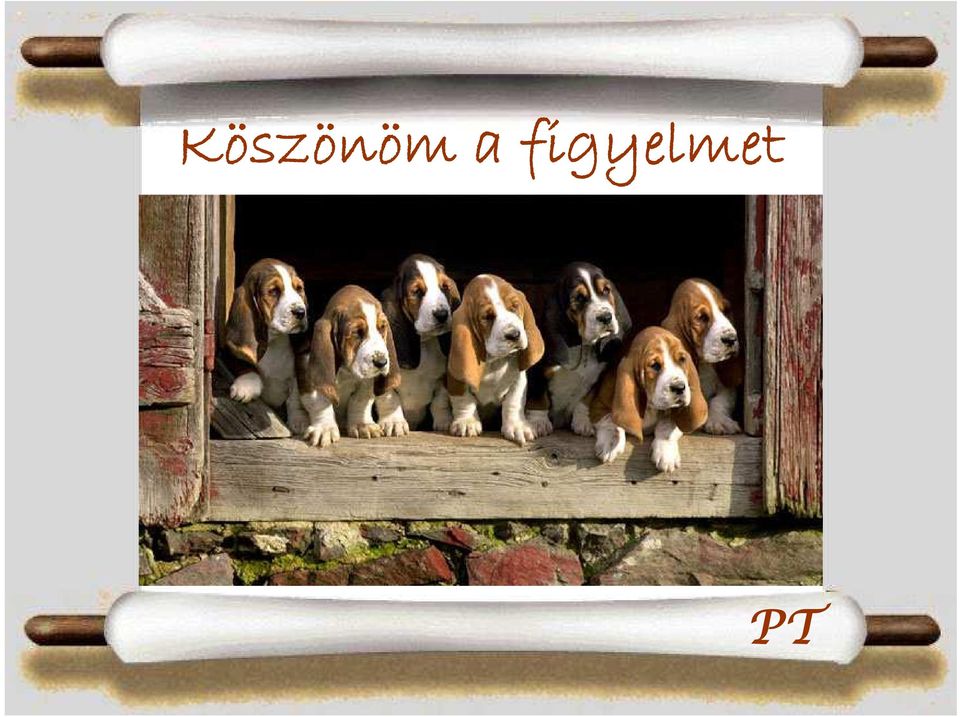 figyelmet