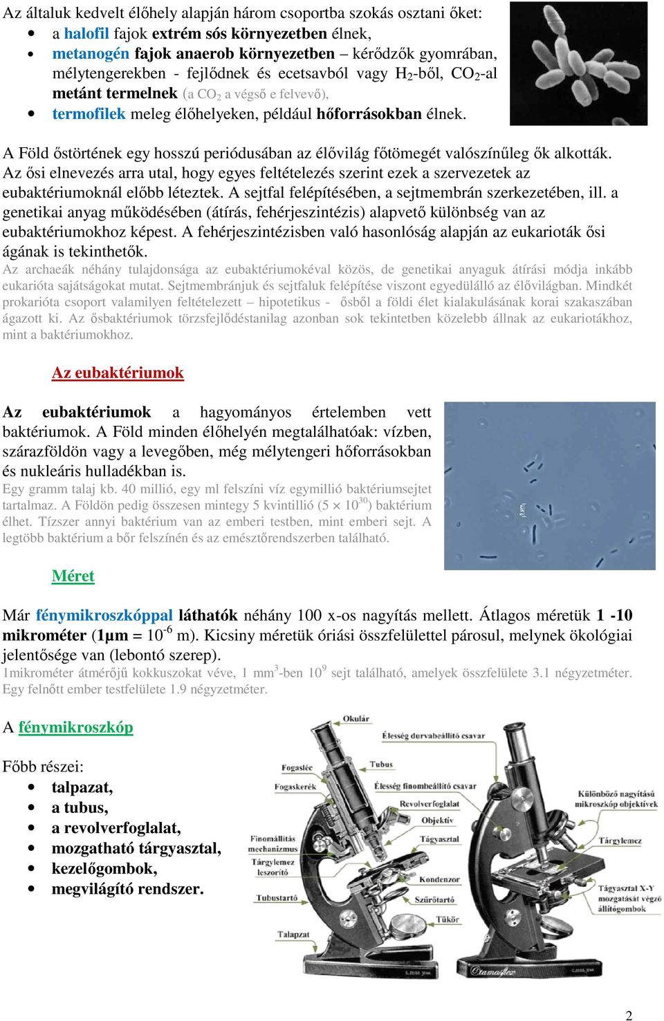 A Föld őstörtének egy hosszú periódusában az élővilág főtömegét valószínűleg ők alkották.