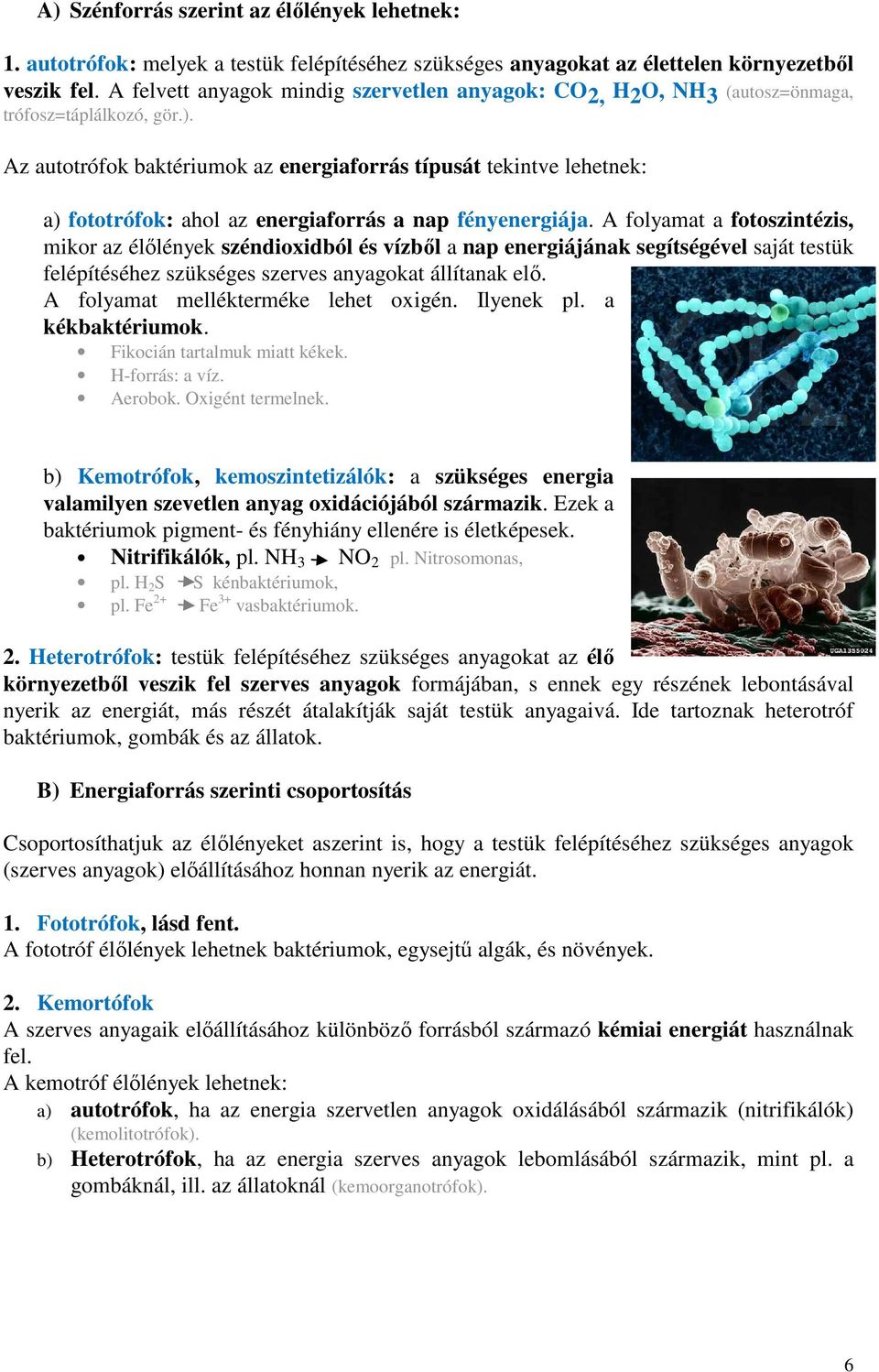 Az autotrófok baktériumok az energiaforrás típusát tekintve lehetnek: a) fototrófok: ahol az energiaforrás a nap fényenergiája.