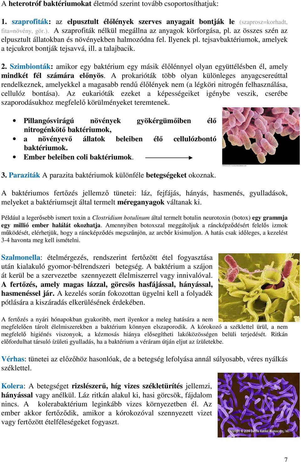 tejsavbaktériumok, amelyek a tejcukrot bontják tejsavvá, ill. a talajbacik. 2. Szimbionták: amikor egy baktérium egy másik élőlénnyel olyan együttélésben él, amely mindkét fél számára előnyös.