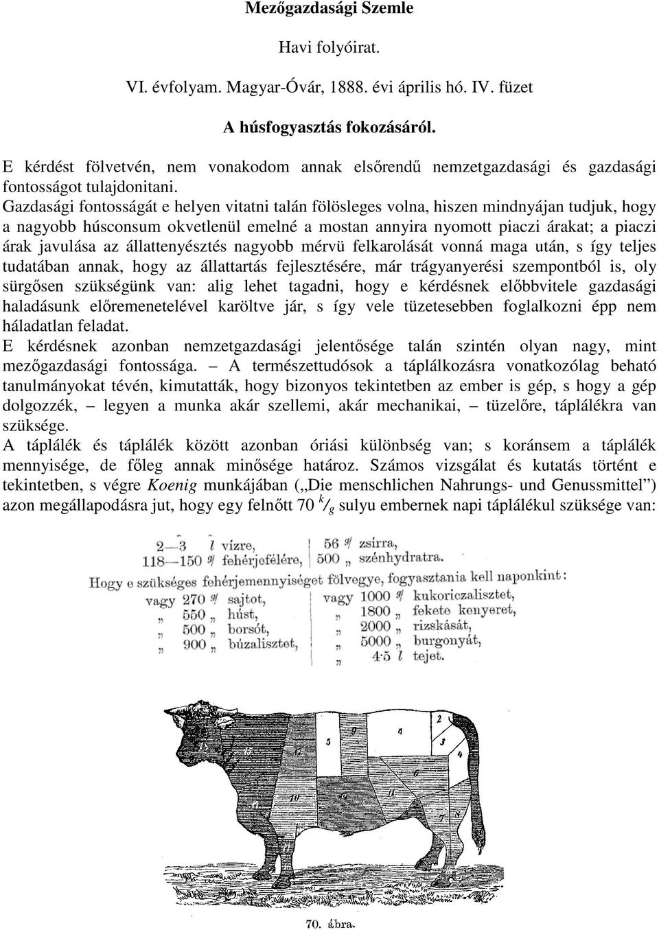 Gazdasági fontosságát e helyen vitatni talán fölösleges volna, hiszen mindnyájan tudjuk, hogy a nagyobb húsconsum okvetlenül emelné a mostan annyira nyomott piaczi árakat; a piaczi árak javulása az