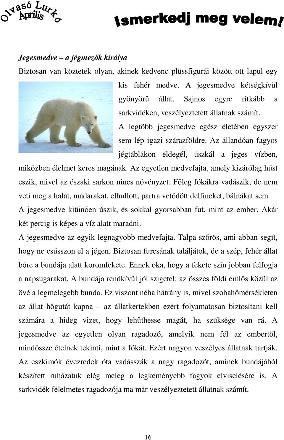 Az állandóan fagyos jégtáblákon éldegél, úszkál a jeges vízben, miközben élelmet keres magának. Az egyetlen medvefajta, amely kizárólag húst eszik, mivel az északi sarkon nincs növényzet.