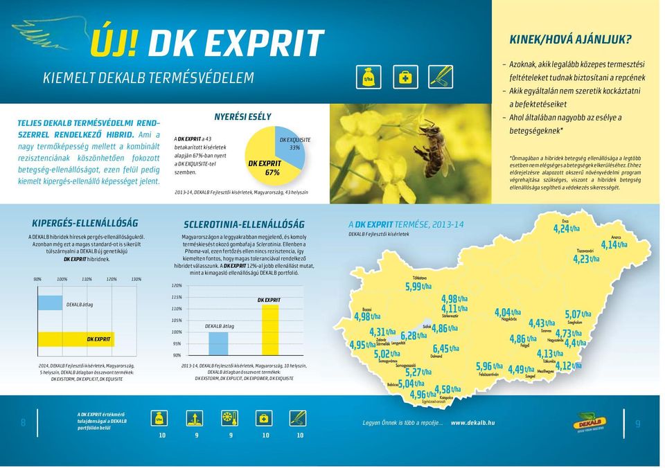 DK EXPRIT A DK EXPRIT a 43 betakarított kísérletek alapján 67%-ban nyert a DK EXQUISITE-tel szemben.