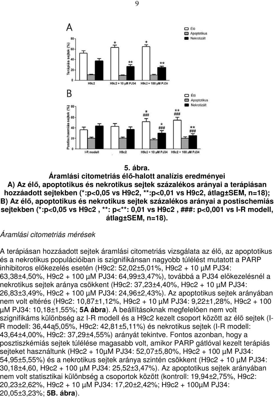 n=18); B) Az élı, apoptotikus és nekrotikus sejtek százalékos arányai a postischemiás sejtekben (*:p<0,05 vs H9c2, **: p<**: 0,01 vs H9c2, ###: p<0,001 vs I-R modell, átlag±sem, n=18).