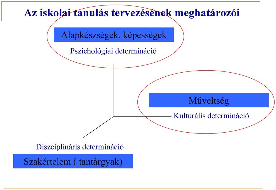 determináció Műveltség Kulturális determináció