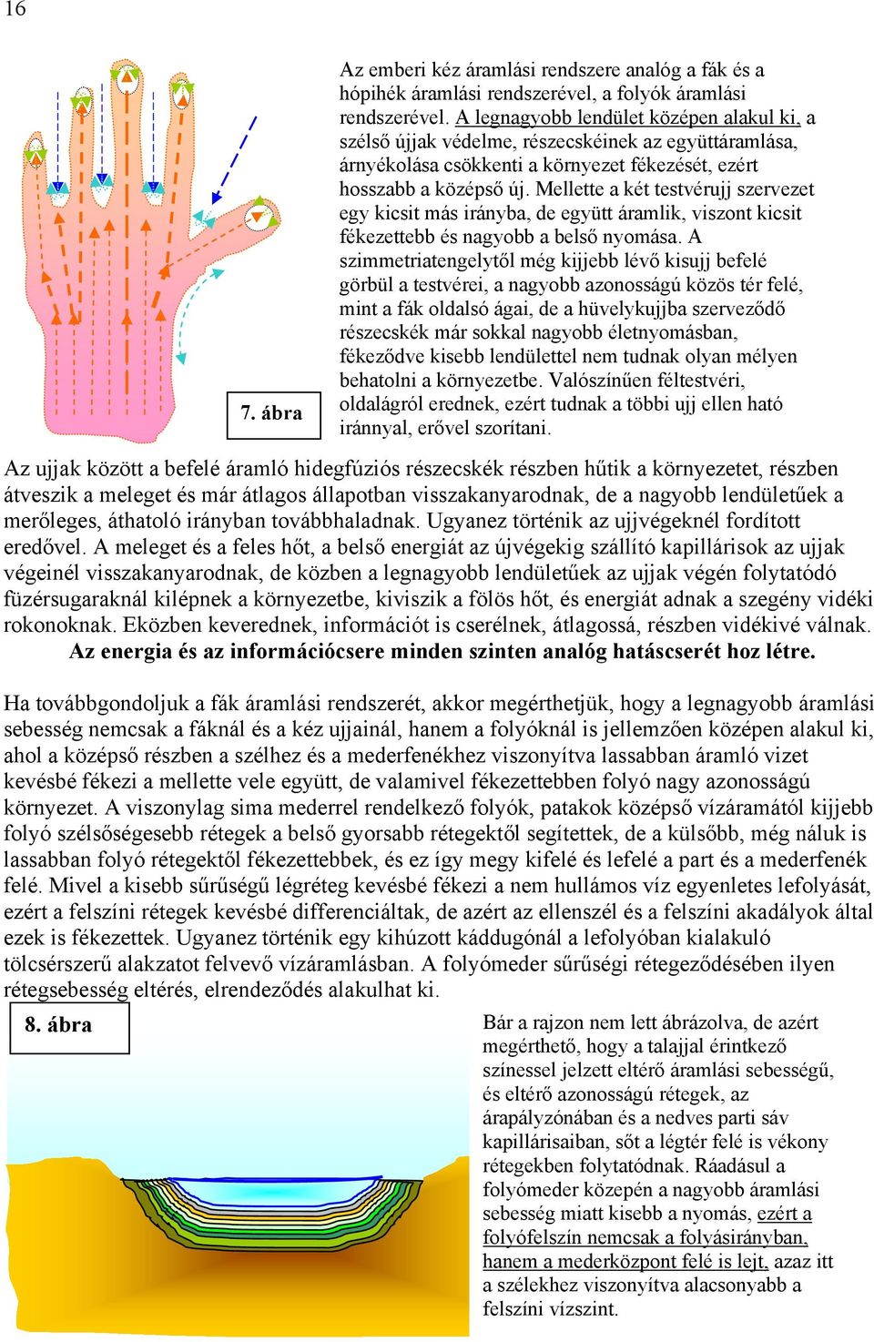 Mellette a két testvérujj szervezet egy kicsit más irányba, de együtt áramlik, viszont kicsit fékezettebb és nagyobb a belső nyomása.