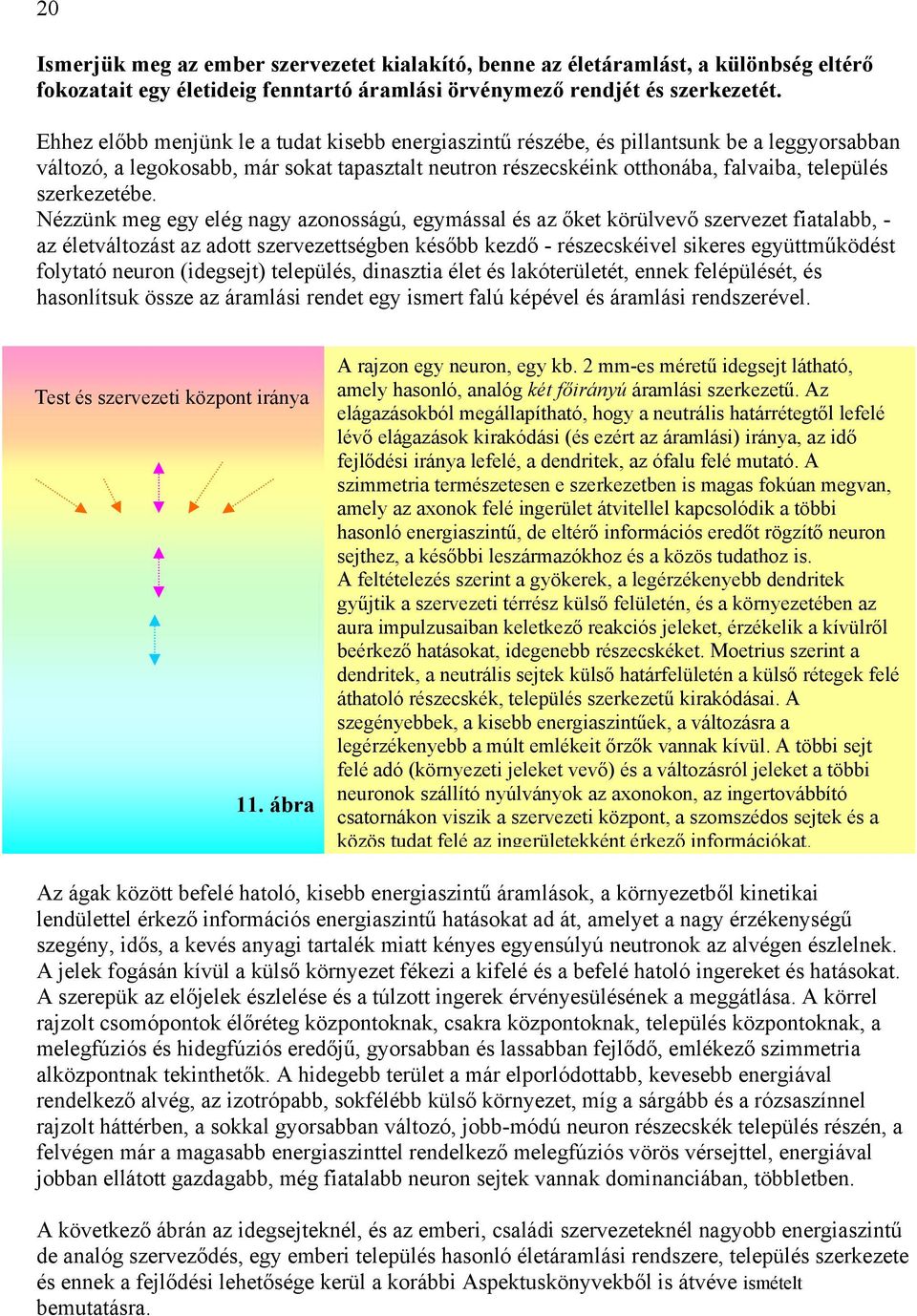 szerkezetébe.