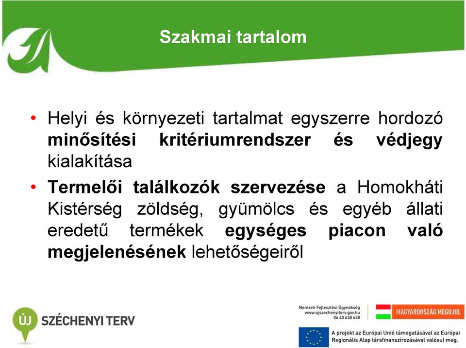 találkozók szervezése a Homokháti Kistérség zöldség, gyümölcs és