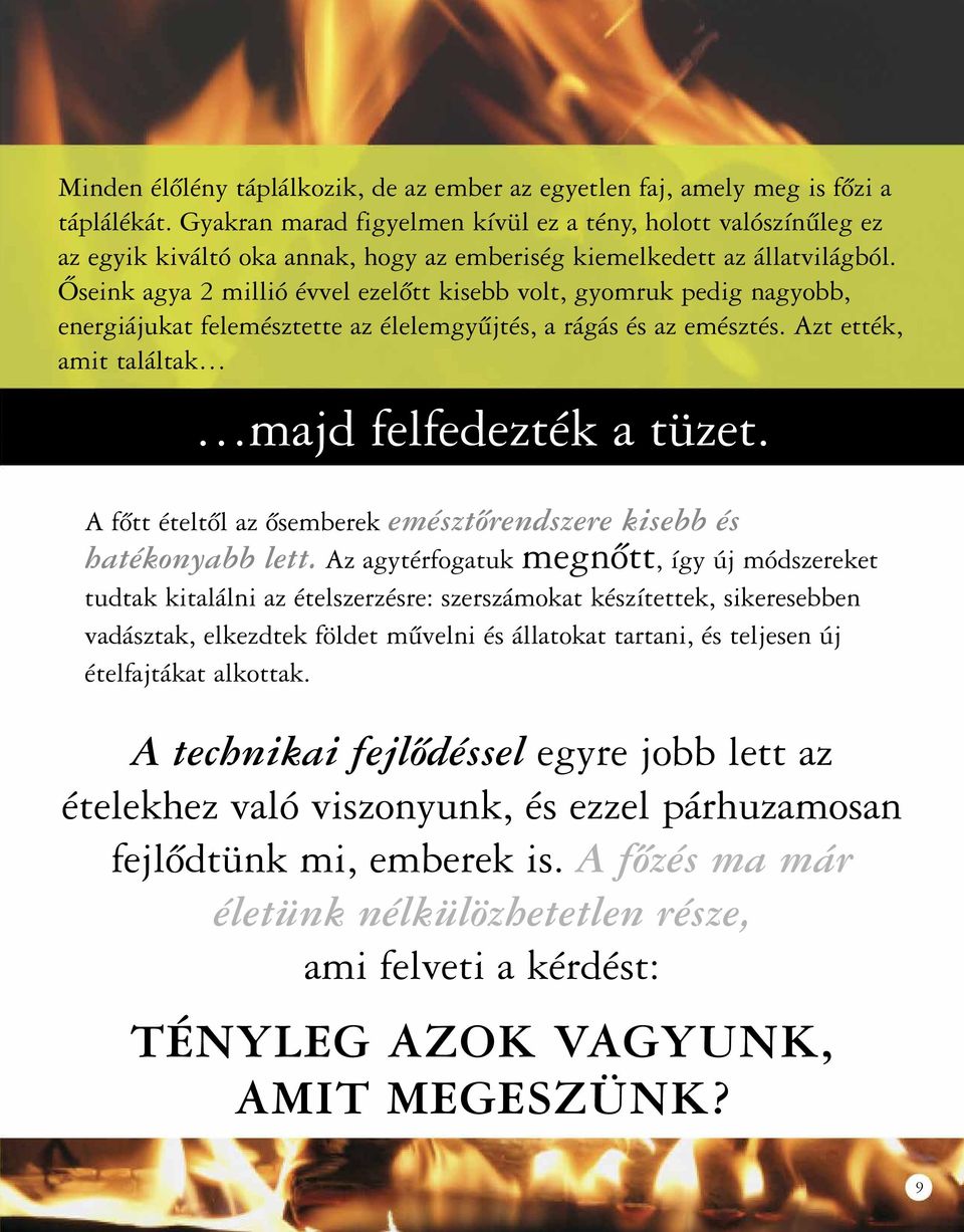 Őseink agya 2 millió évvel ezelőtt kisebb volt, gyomruk pedig nagyobb, energiájukat felemésztette az élelemgyűjtés, a rágás és az emésztés. Azt ették, amit találtak majd felfedezték a tüzet.