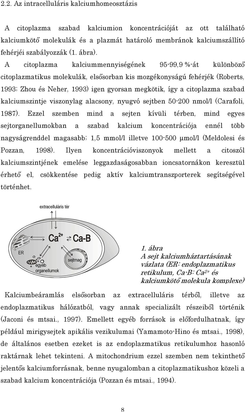 A citoplazma kalciummennyiségének 95-99,9 %-át különböző citoplazmatikus molekulák, elsősorban kis mozgékonyságú fehérjék (Roberts, 1993; Zhou és Neher, 1993) igen gyorsan megkötik, így a citoplazma