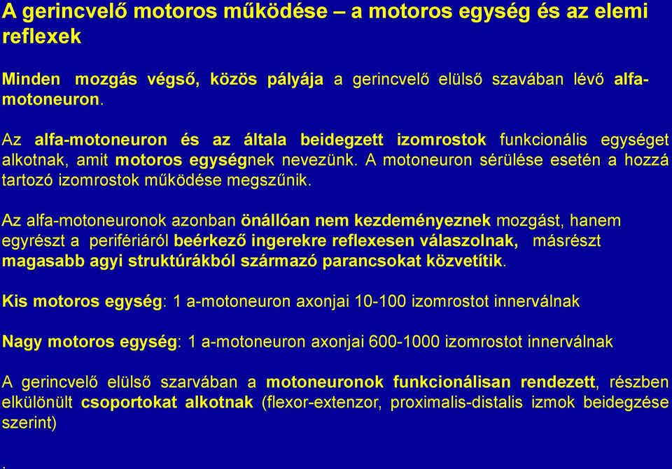 Az alfa-motoneuronok azonban önállóan nem kezdeményeznek mozgást, hanem egyrészt a perifériáról beérkező ingerekre reflexesen válaszolnak, másrészt magasabb agyi struktúrákból származó parancsokat