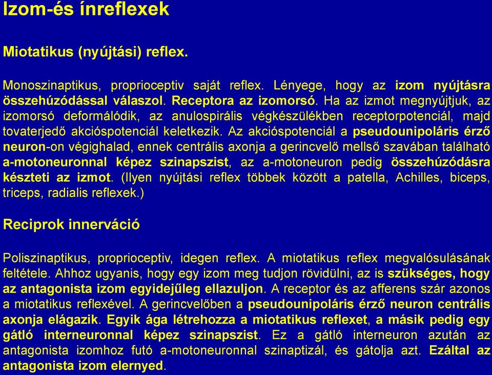 Az akcióspotenciál a pseudounipoláris érző neuron-on végighalad, ennek centrális axonja a gerincvelő mellső szavában található a-motoneuronnal képez szinapszist, az a-motoneuron pedig összehúzódásra