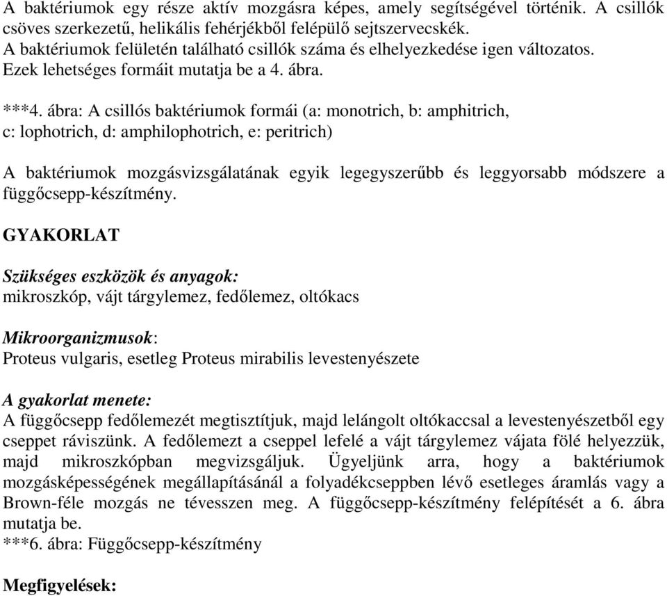 ábra: A csillós baktériumok formái (a: monotrich, b: amphitrich, c: lophotrich, d: amphilophotrich, e: peritrich) A baktériumok mozgásvizsgálatának egyik legegyszerőbb és leggyorsabb módszere a