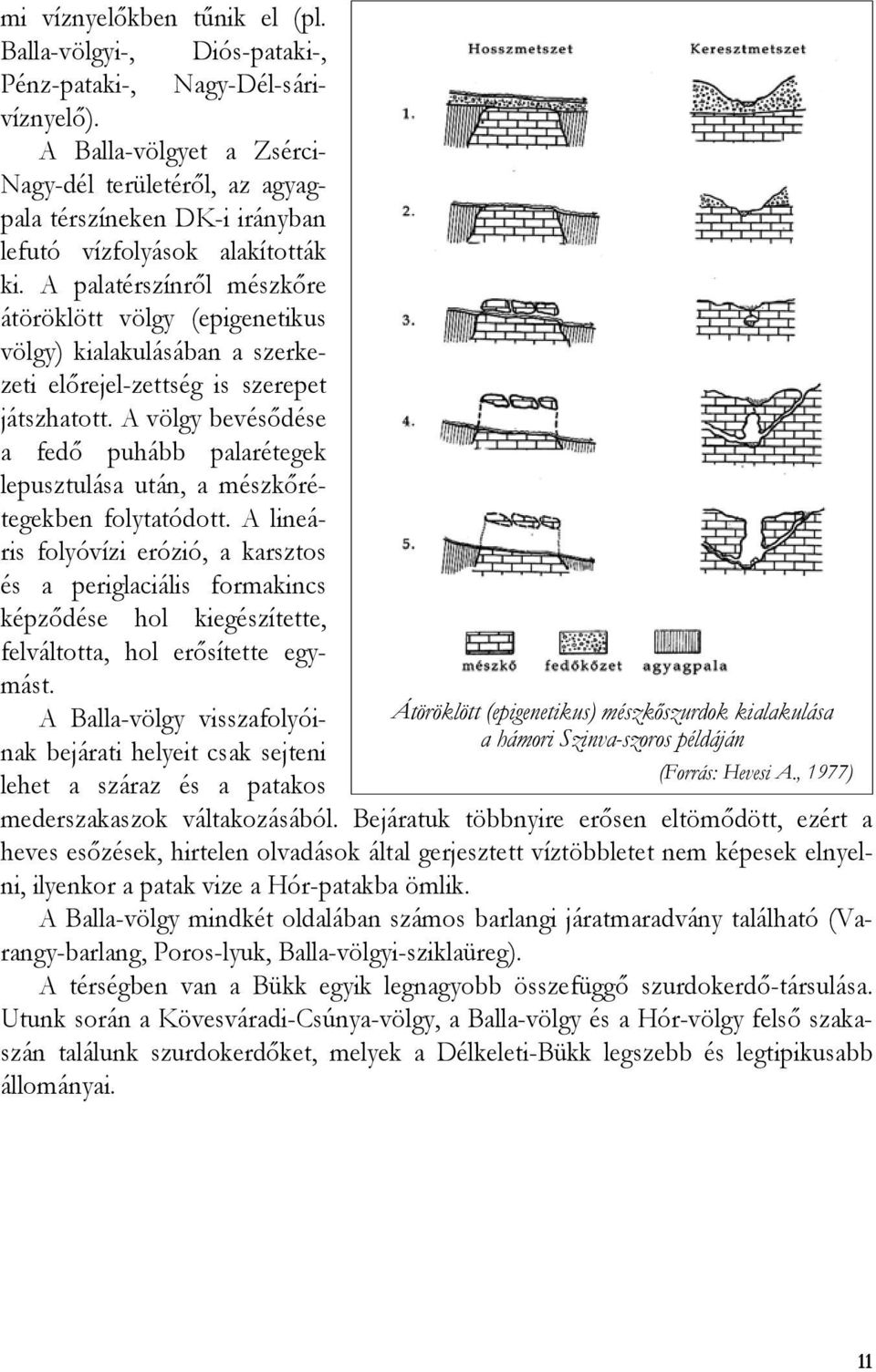 A palatérszínről mészkőre átöröklött völgy (epigenetikus völgy) kialakulásában a szerkezeti előrejel-zettség is szerepet játszhatott.