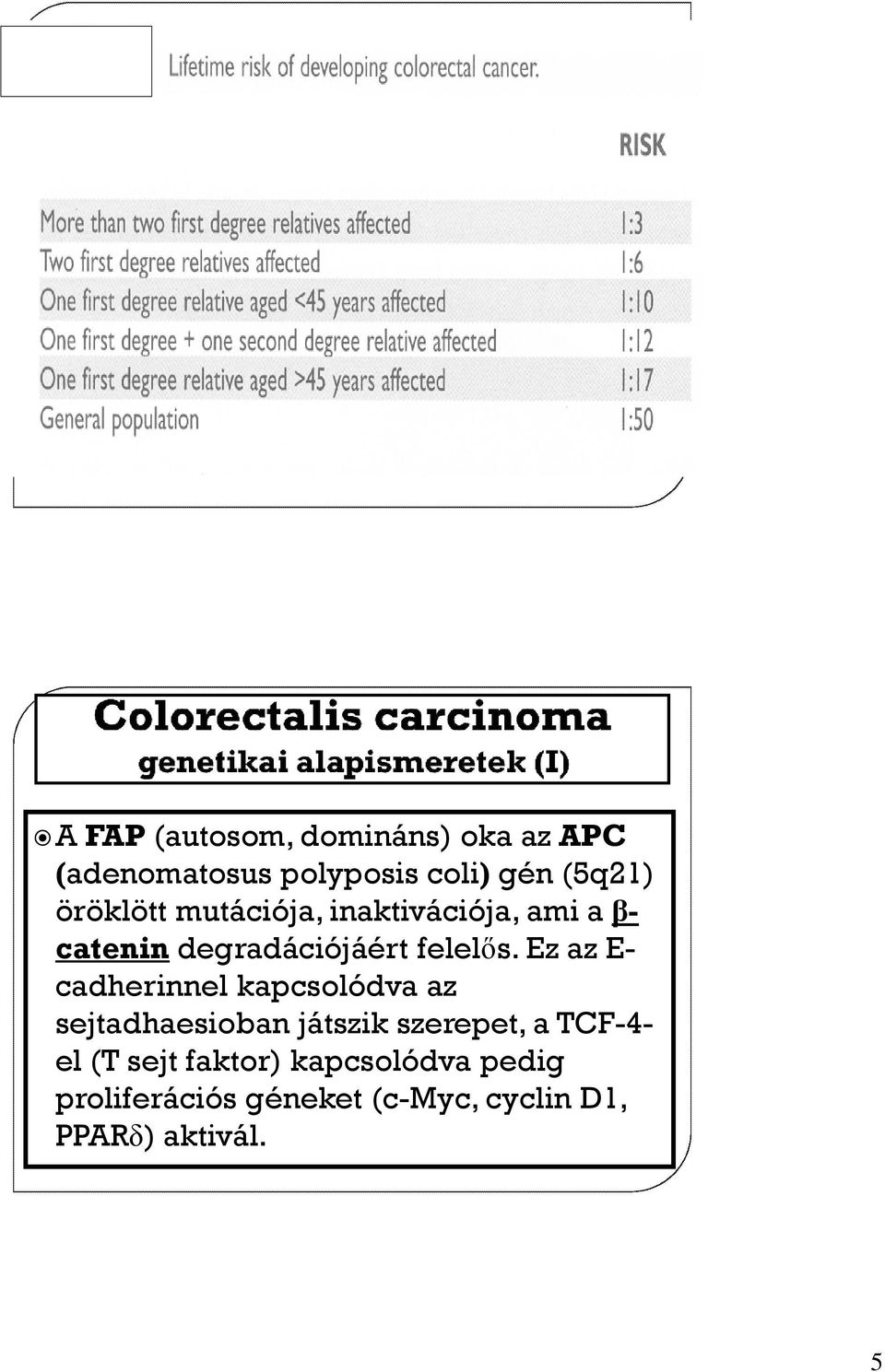 Ez az E- cadherinnel kapcsolódva az sejtadhaesioban játszik szerepet, a TCF-4- el