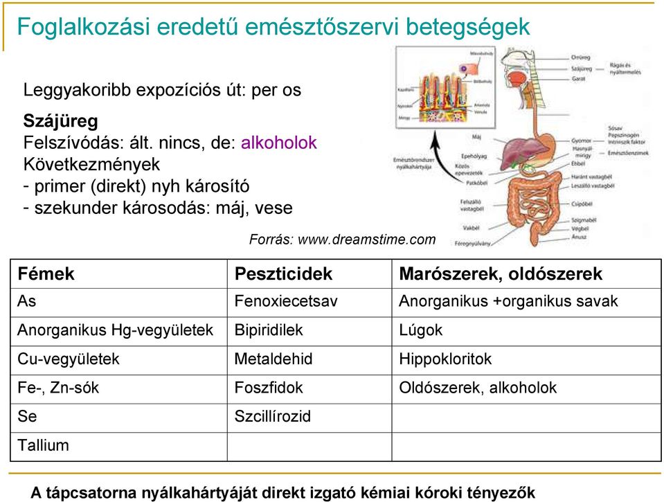 oldószerek As Fenoxiecetsav Anorganikus +organikus savak Anorganikus Hg-vegyületek Bipiridilek Lúgok Cu-vegyületek Metaldehid