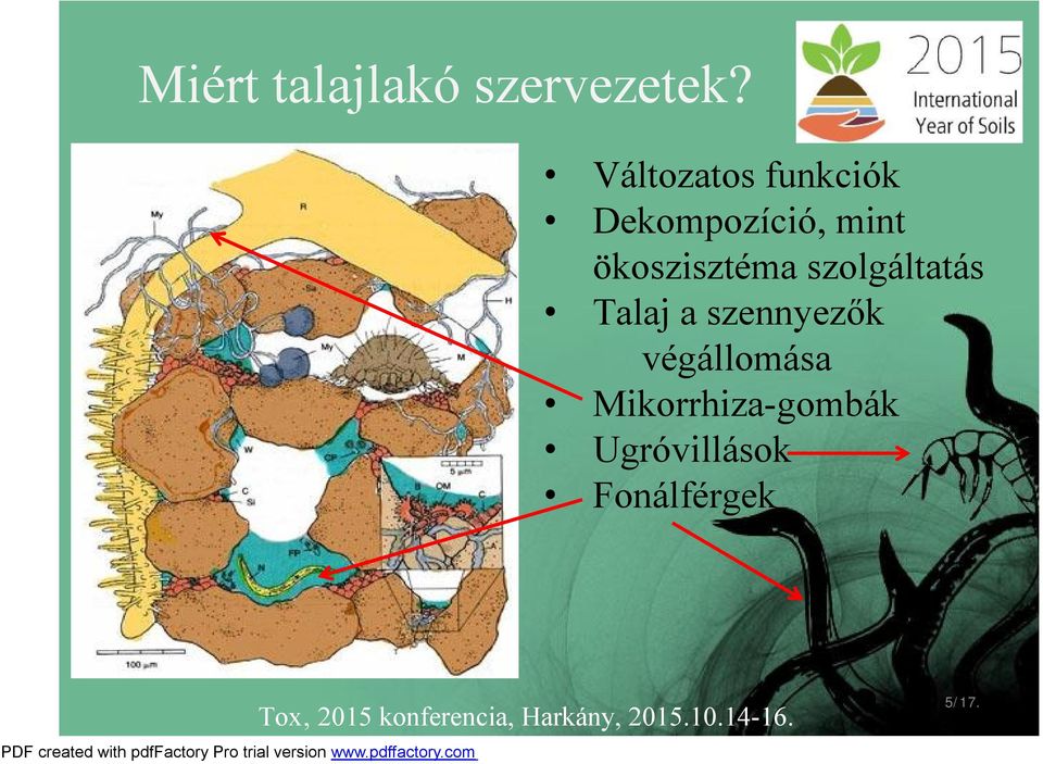 szolgáltatás Talaj a szennyezők végállomása