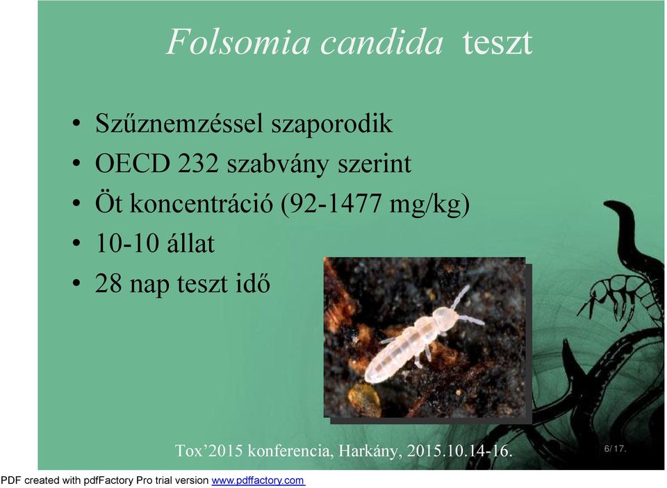 koncentráció(92-1477 mg/kg) 10-10 állat 28 nap