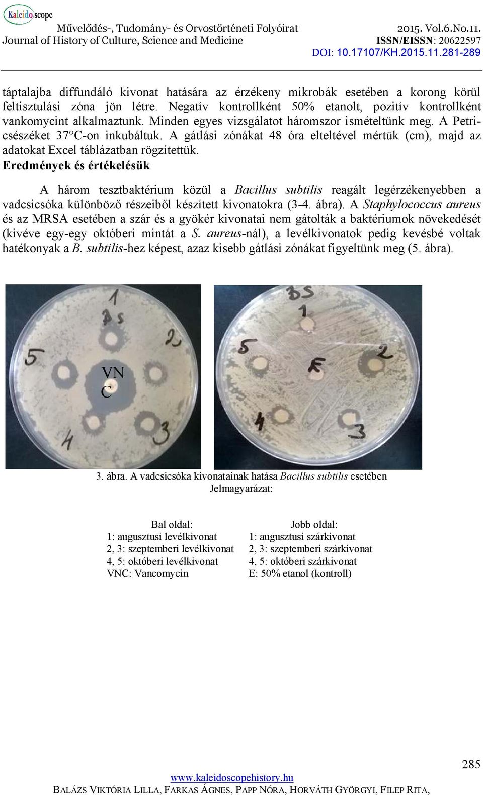 Eredmények és értékelésük A három tesztbaktérium közül a Bacillus subtilis reagált legérzékenyebben a vadcsicsóka különböző részeiből készített kivonatokra (3-4. ábra).