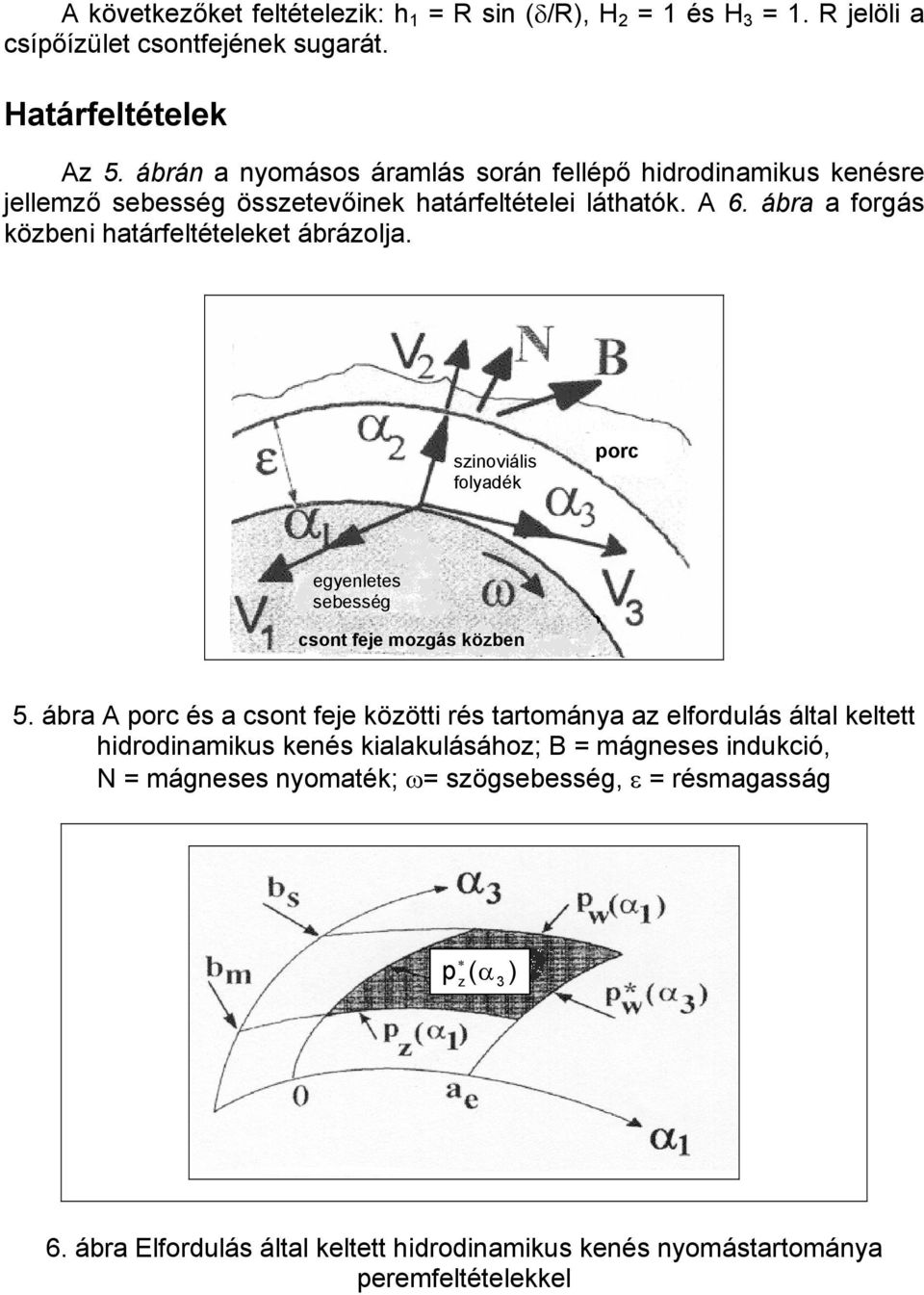 ábra a forgás közbeni határfeltételeket ábrázolja. szinoviális folyadék porc egyenletes sebesség csont feje mozgás közben 5.