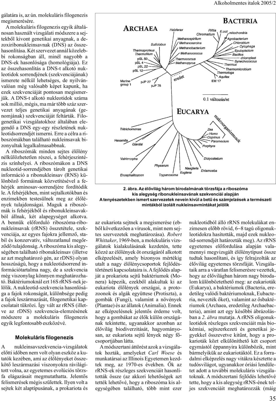 Két szervezet annál közelebbi rokonságban áll, minél nagyobb a DNS-ek hasonlósága (homológiája).