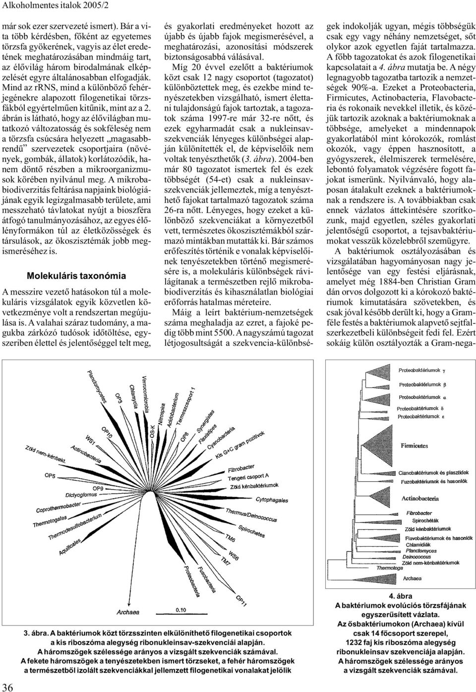 elfogadják. Mind az rrns, mind a különbözõ fehérjegénekre alapozott filogenetikai törzsfákból egyértelmûen kitûnik, mint az a 2.