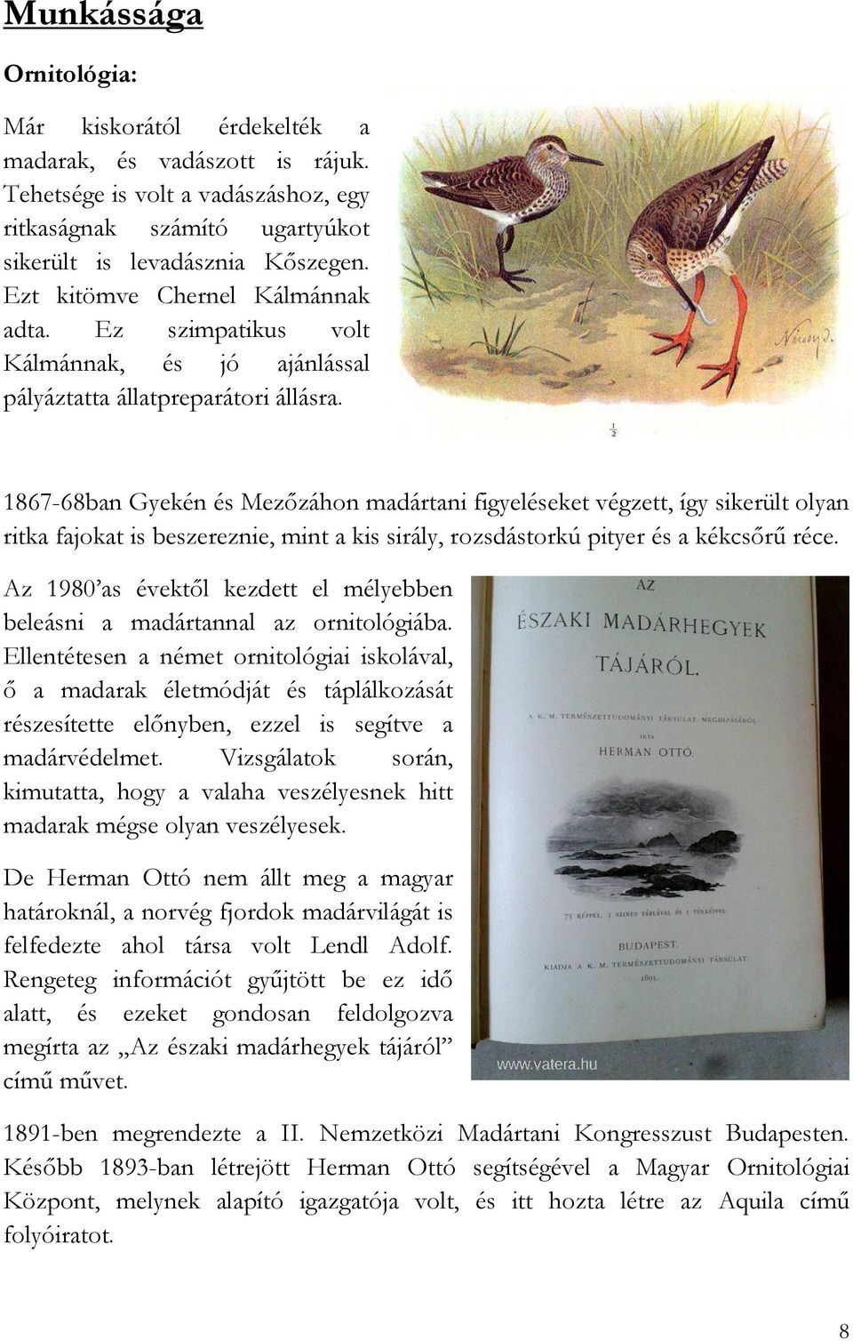 1867-68ban Gyekén és Mezőzáhon madártani figyeléseket végzett, így sikerült olyan ritka fajokat is beszereznie, mint a kis sirály, rozsdástorkú pityer és a kékcsőrű réce.