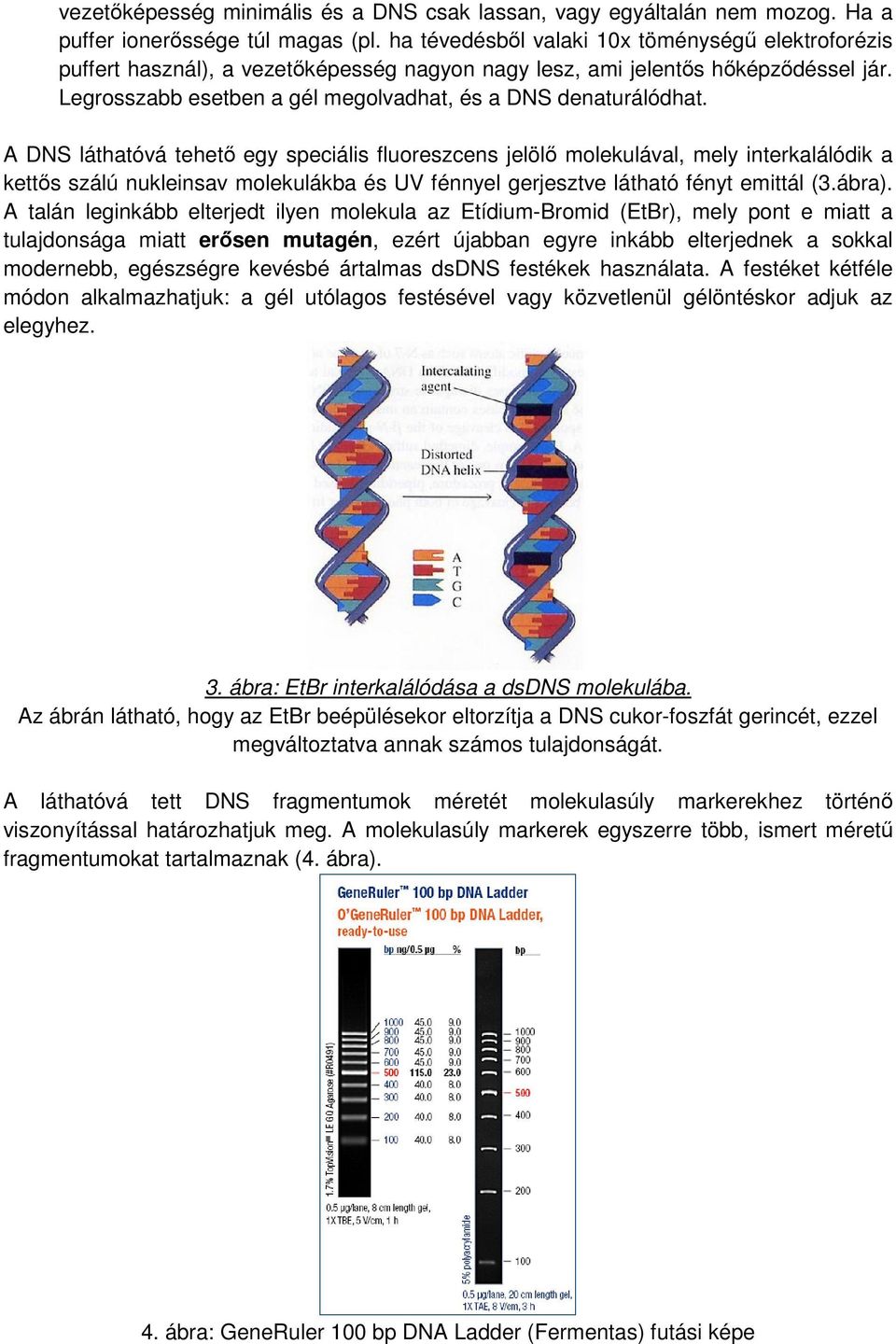 A DNS láthatóvá tehető egy speciális fluoreszcens jelölő molekulával, mely interkalálódik a kettős szálú nukleinsav molekulákba és UV fénnyel gerjesztve látható fényt emittál (3.ábra).