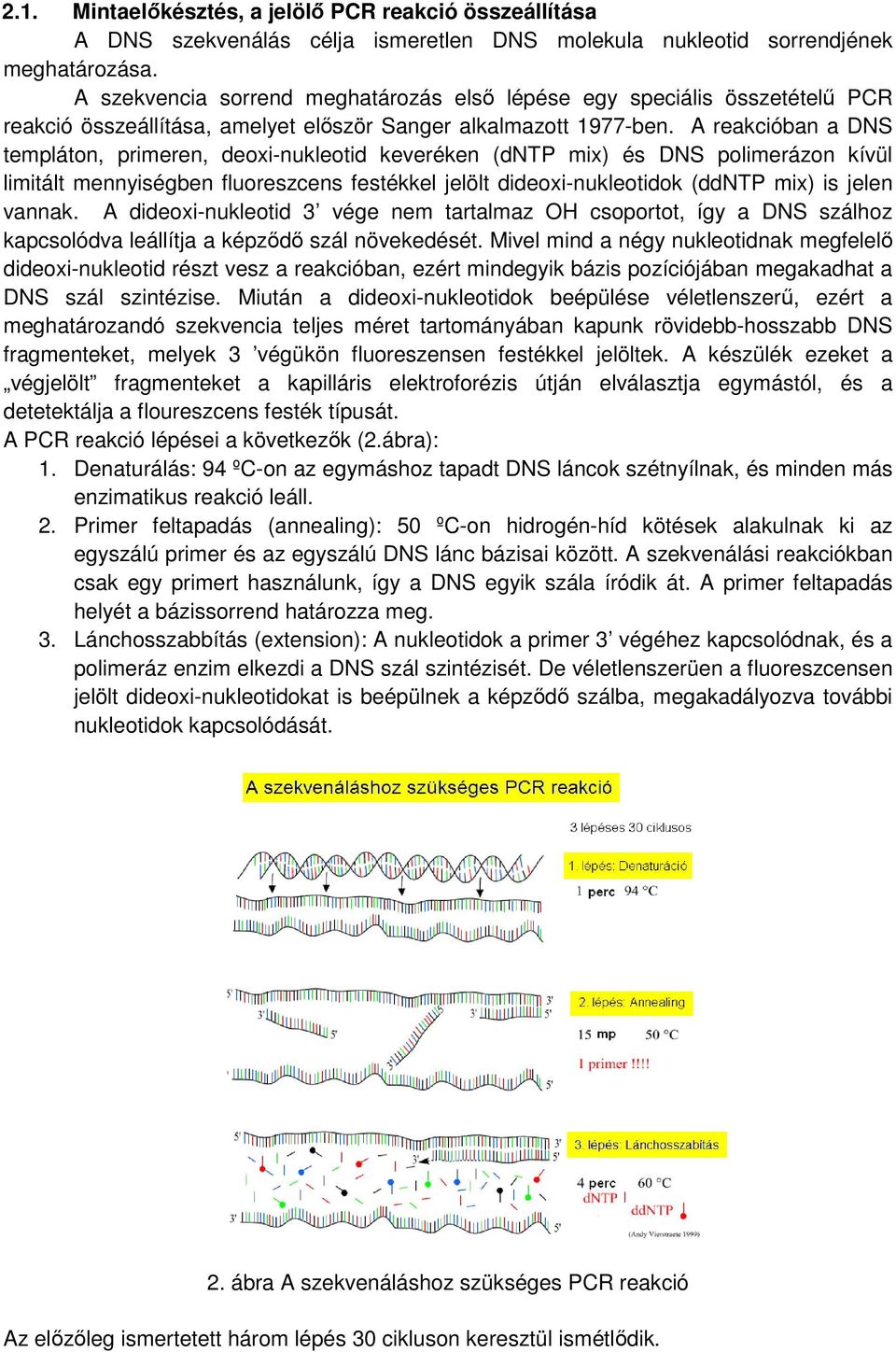 A reakcióban a DNS templáton, primeren, deoxi-nukleotid keveréken (dntp mix) és DNS polimerázon kívül limitált mennyiségben fluoreszcens festékkel jelölt dideoxi-nukleotidok (ddntp mix) is jelen