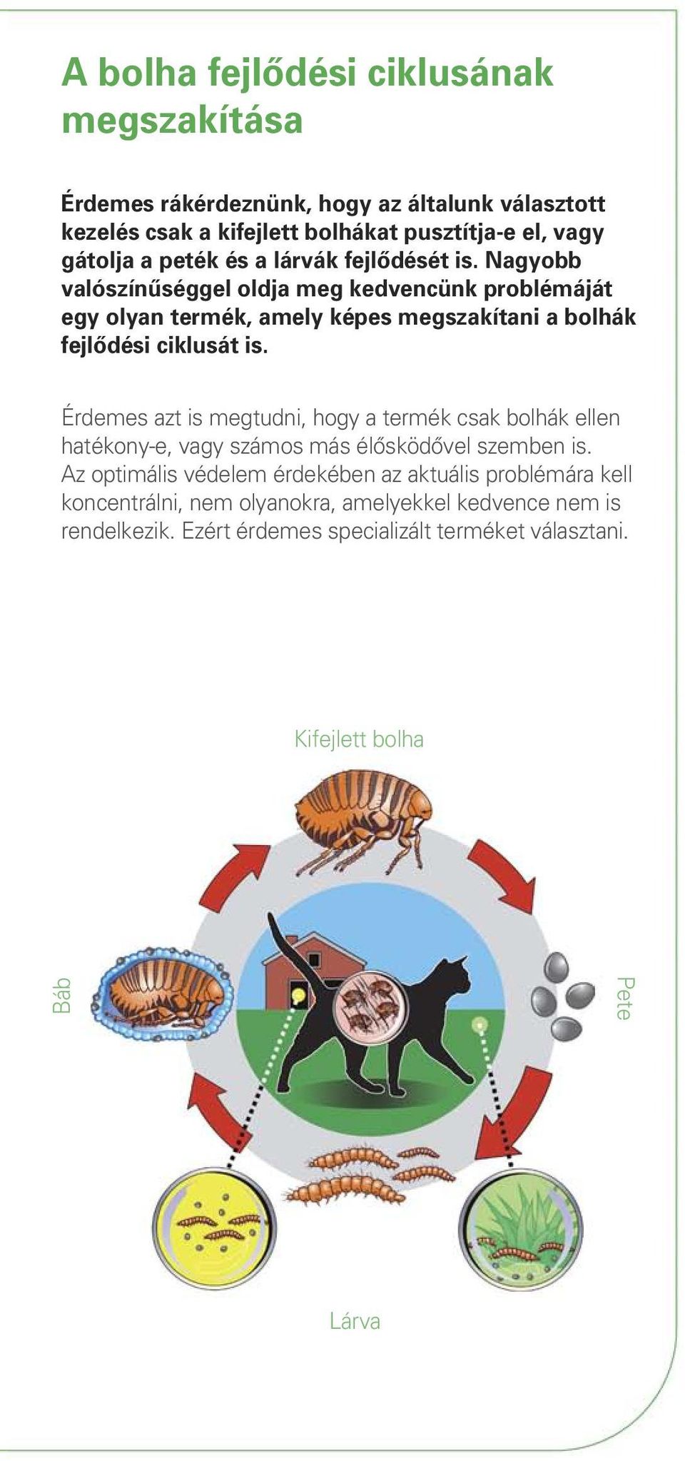 Nagyobb valószínûséggel oldja meg kedvencünk problémáját egy olyan termék, amely képes megszakítani a bolhák fejlôdési ciklusát is.