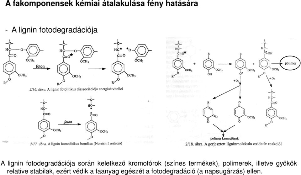 kromofórok (színes termékek), polimerek, illetve gyökök relative