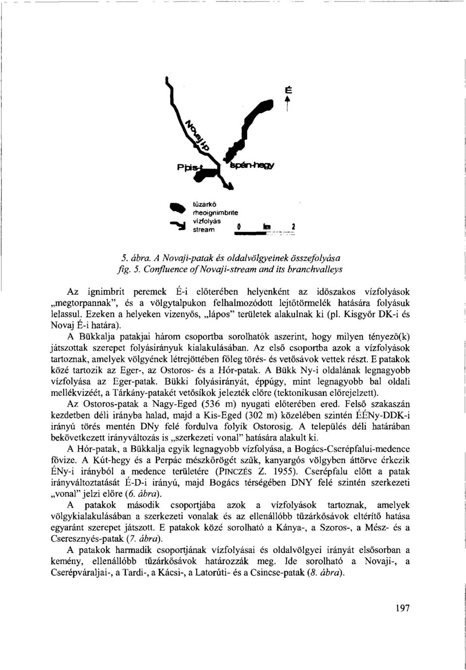 Confluence ofnovaji-stream and its branchvalleys Az ignimbrit peremek É-i előterében helyenként az időszakos vízfolyások megtorpannak", és a völgytalpukon felhalmozódott lejtőtörmelék hatására