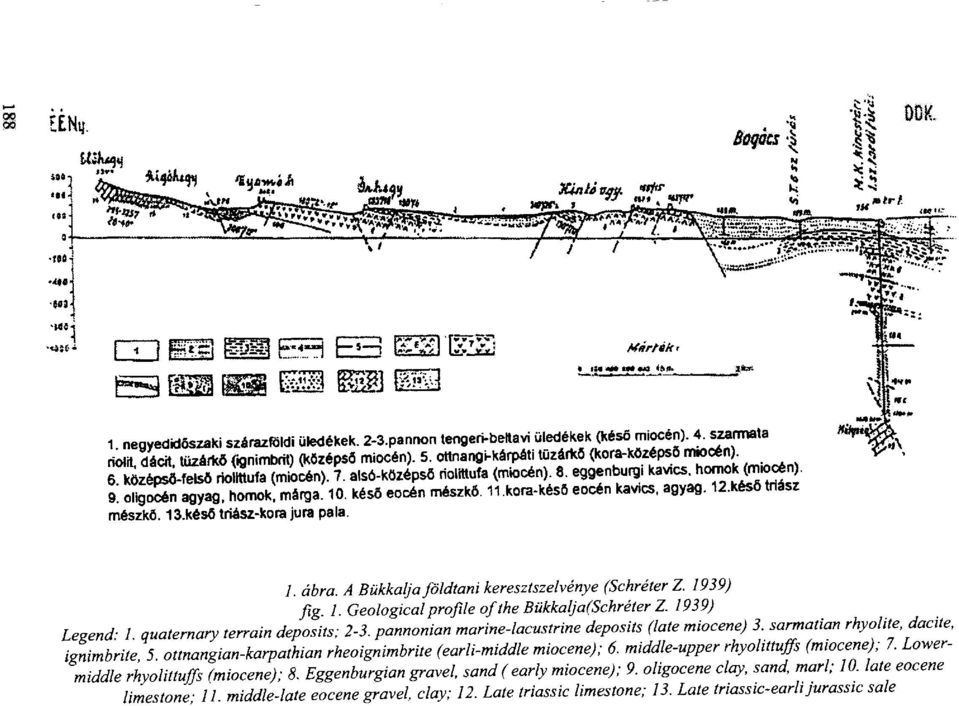 késő eocén mészkő. 11kora-késő eocén kav.cs. agyag. 12.késő tnász mészkő. 13.késő triász-kora jura pala. 1. ábra. A Bükkalja földtani keresztszelvénye (SchréterZ. 1939) fig 1.