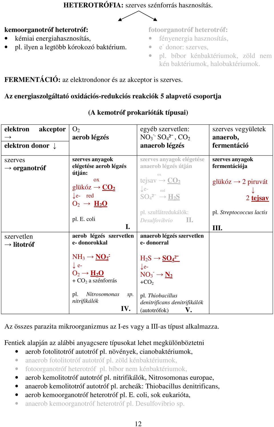 Az energiaszolgáltató oxidációs-redukciós reakciók 5 alapvető csoportja (A kemotróf prokarióták típusai) elektron akceptor elektron donor O 2 aerob légzés egyéb szervetlen: NO 3 -, SO 4 ², CO 2