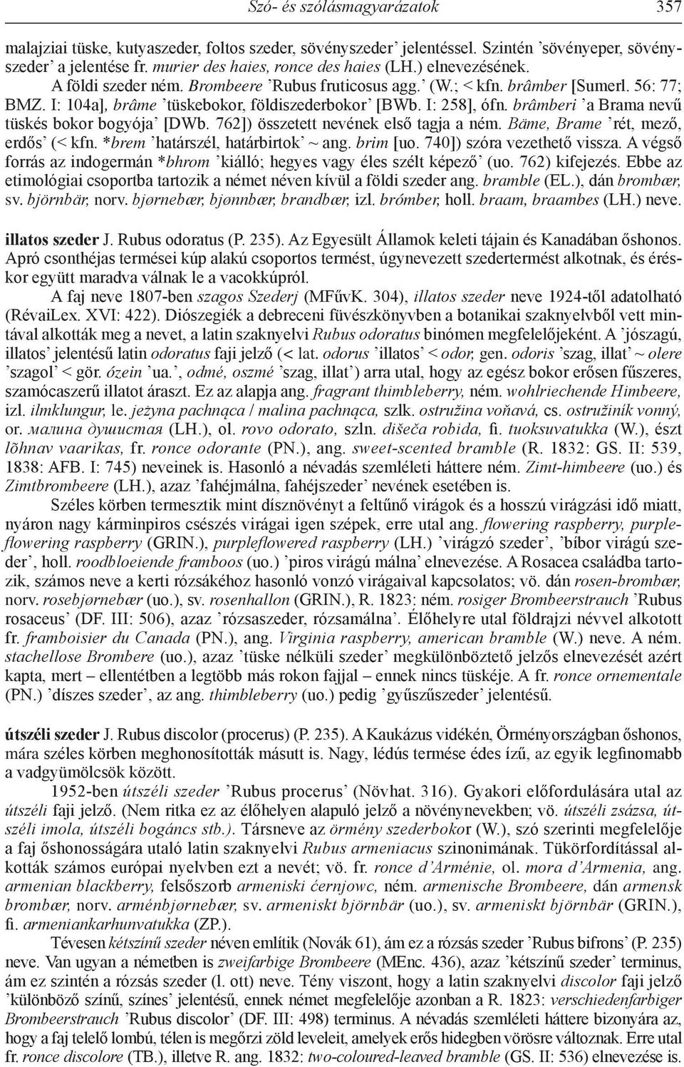 brâmberi a Brama nevű tüskés bokor bogyója [DWb. 762]) összetett nevének első tagja a ném. Bäme, Brame rét, mező, erdős (< kfn. *brem határszél, határbirtok ~ ang. brim [uo.