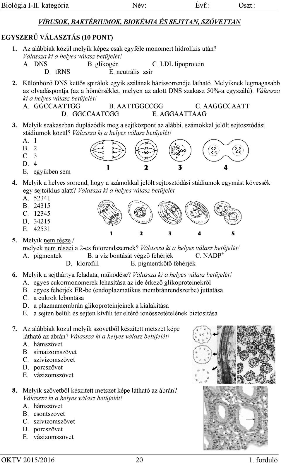 Válassza ki a helyes válasz betűjelét! A. GGCCAATTGG B. AATTGGCCGG C. AAGGCCAATT D. GGCCAATCGG E. AGGAATTAAG 3.