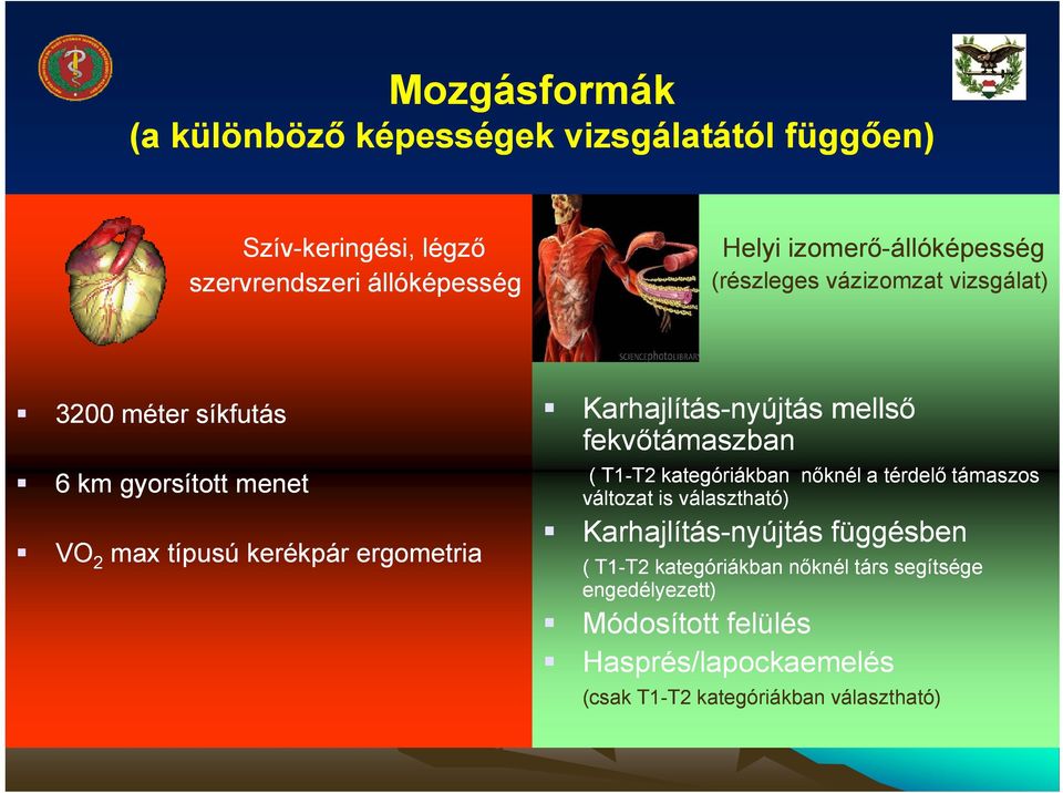 Karhajlítás-nyújtás mellső fekvőtámaszban ( T1-T2 T2 kategóriákban nőknél a térdelő támaszos változat is választható)