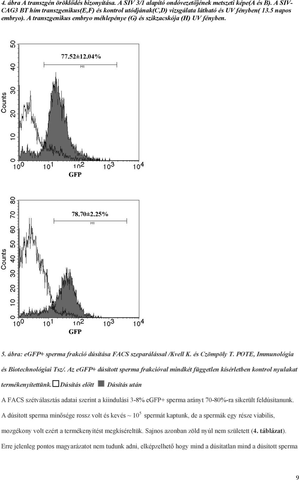 04% GFP 78.70±2.25% GFP 5. ábra: egfp+ sperma frakció dúsítása FACS szeparálással /Kvell K. és Czömpöly T. POTE, Immunológia és Biotechnológiai Tsz/.