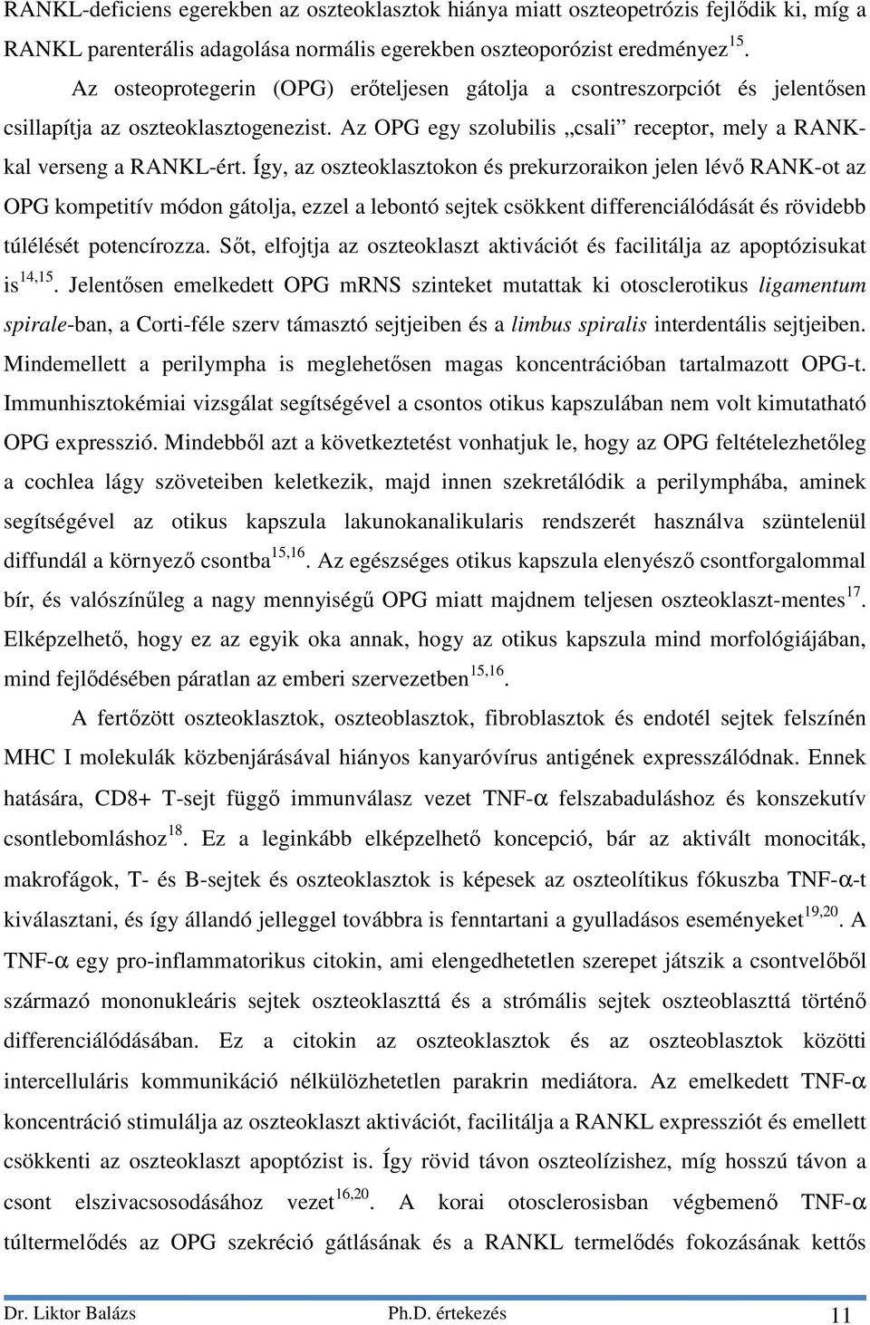 Így, az oszteoklasztokon és prekurzoraikon jelen lévő RANK-ot az OPG kompetitív módon gátolja, ezzel a lebontó sejtek csökkent differenciálódását és rövidebb túlélését potencírozza.