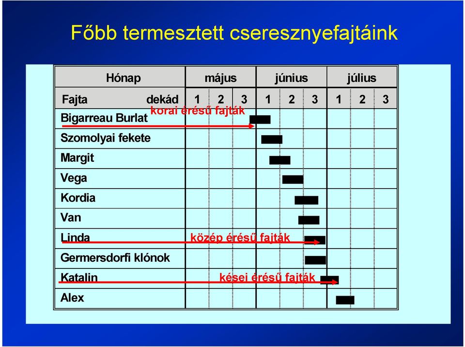 Bigarreau Burlat Szomolyai fekete Margit Vega Kordia Van