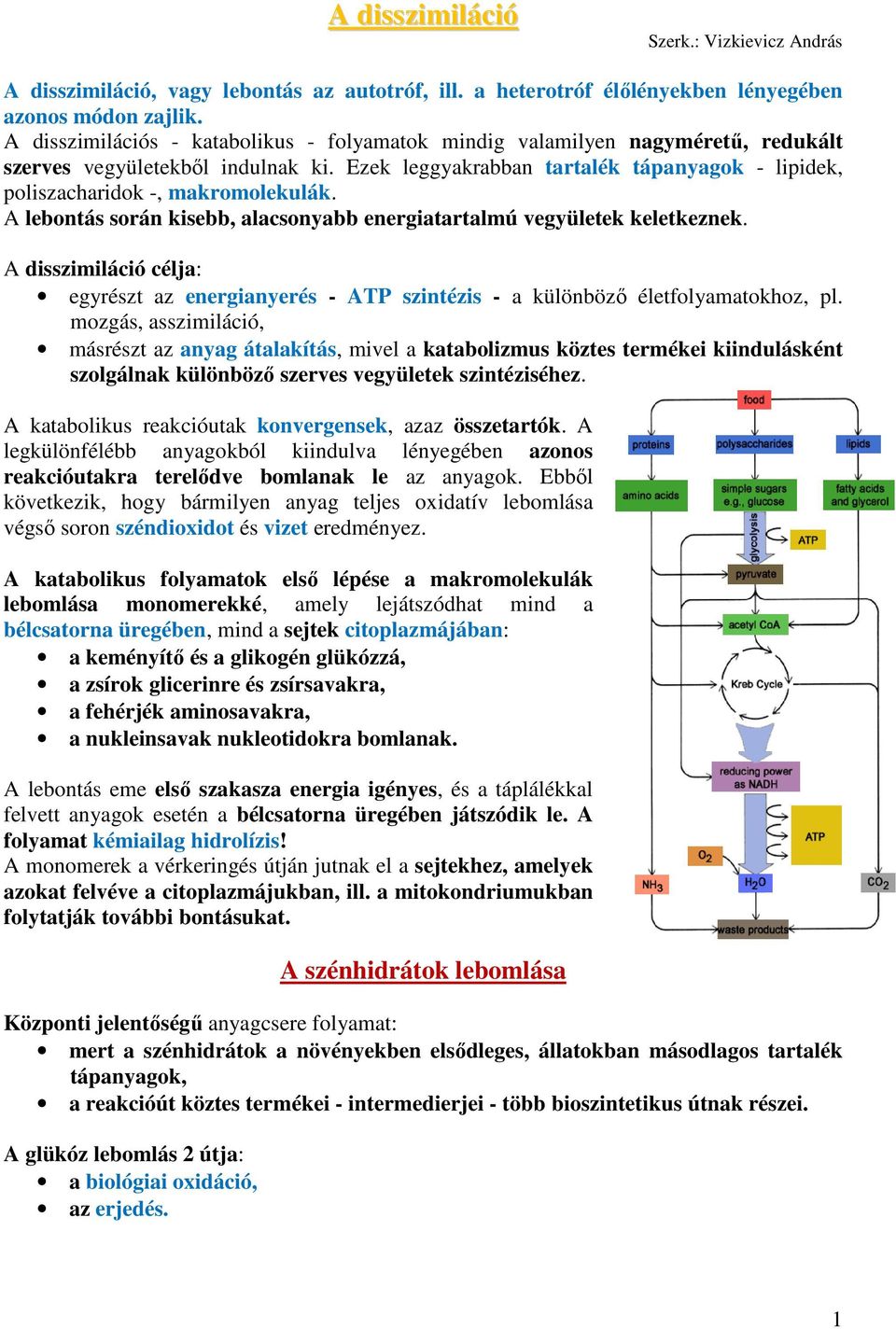 Ezek leggyakrabban tartalék tápanyagok - lipidek, poliszacharidok -, makromolekulák. A lebontás során kisebb, alacsonyabb energiatartalmú vegyületek keletkeznek.