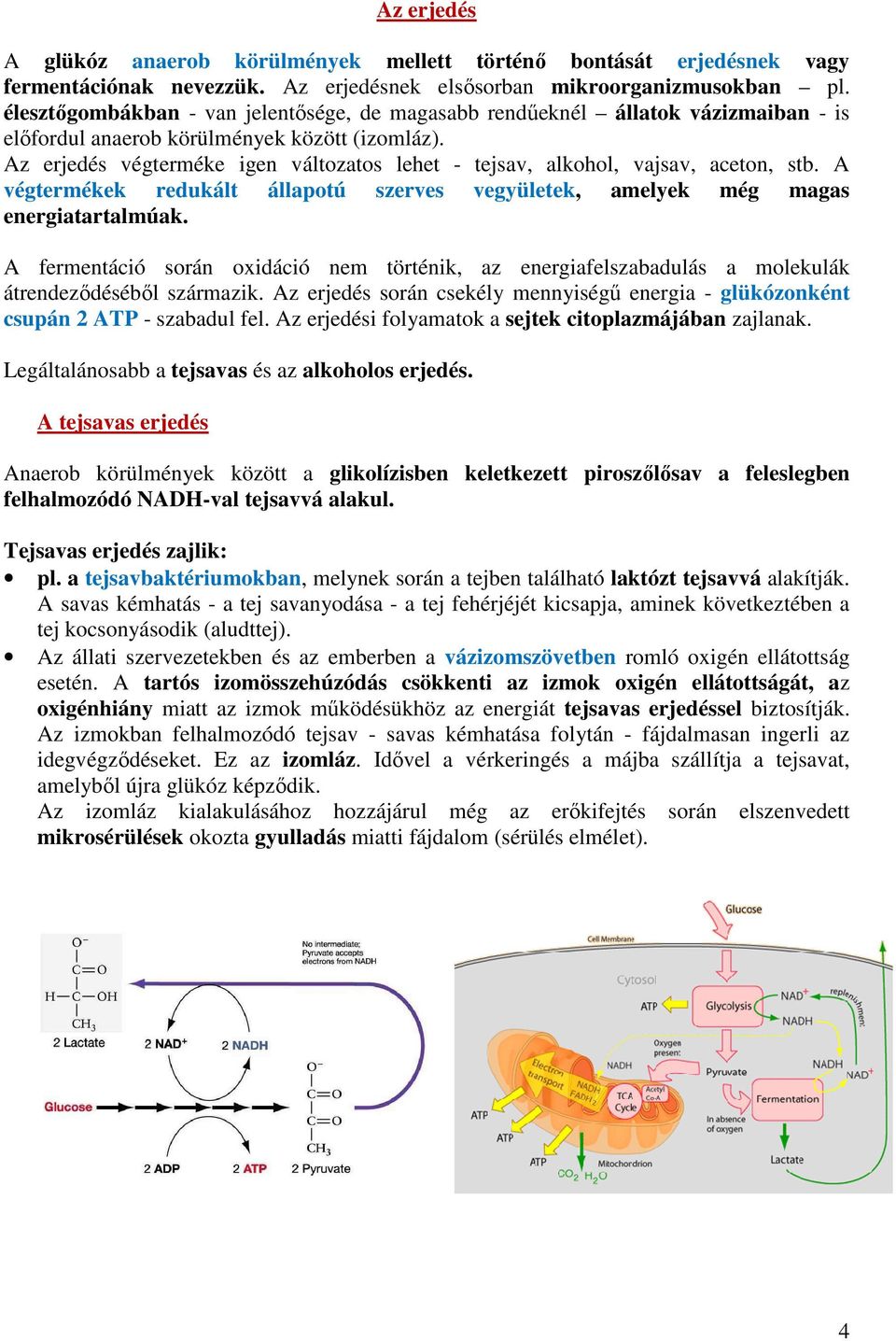 Az erjedés végterméke igen változatos lehet - tejsav, alkohol, vajsav, aceton, stb. A végtermékek redukált állapotú szerves vegyületek, amelyek még magas energiatartalmúak.