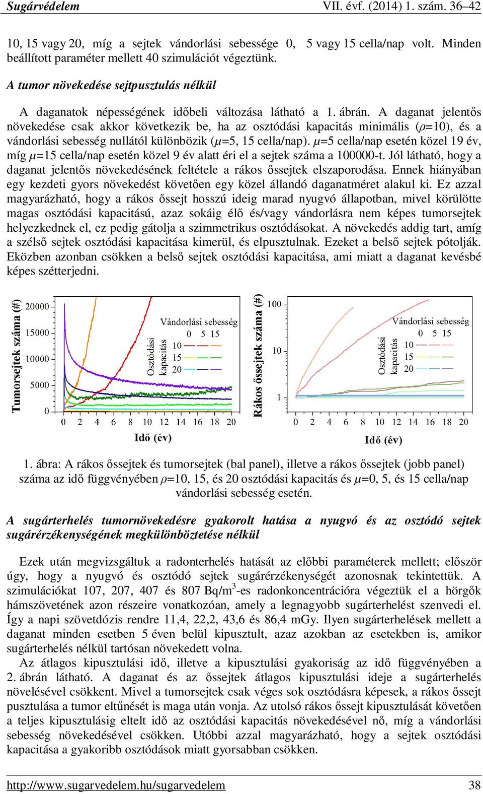A daganat jelentıs növekedése csak akkor következik be, ha az osztódási kapacitás minimális (ρ=10), és a vándorlási sebesség nullától különbözik (µ=5, 15 cella/nap).
