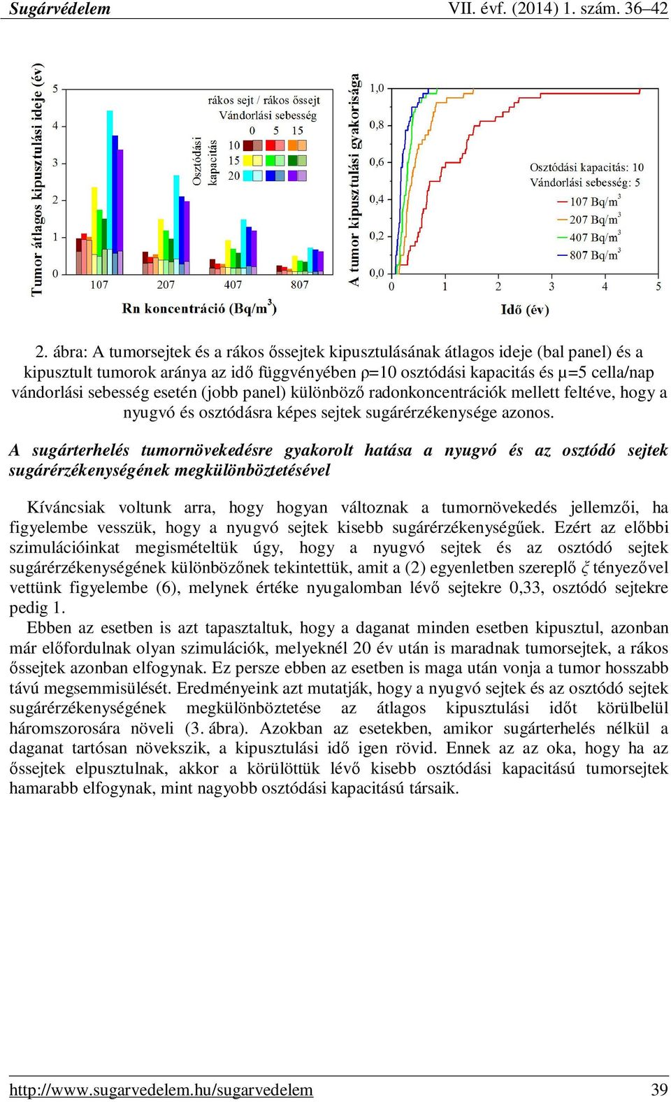 A sugárterhelés tumornövekedésre gyakorolt hatása a nyugvó és az osztódó sejtek sugárérzékenységének megkülönböztetésével Kíváncsiak voltunk arra, hogy hogyan változnak a tumornövekedés jellemzıi, ha