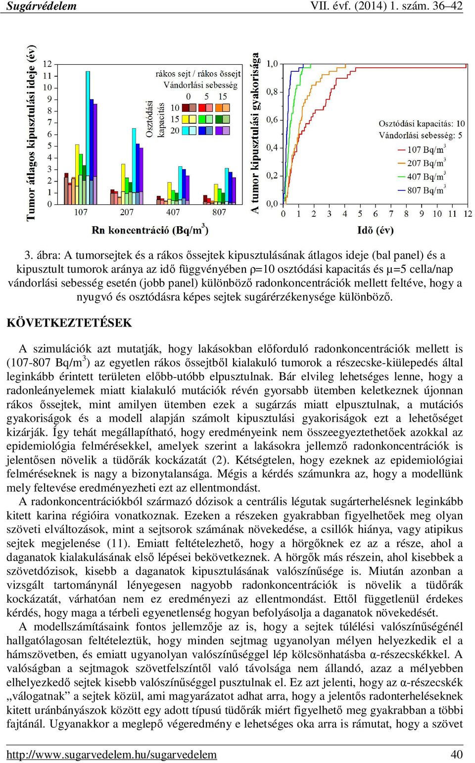 KÖVETKEZTETÉSEK A szimulációk azt mutatják, hogy lakásokban elıforduló radonkoncentrációk mellett is (107-807 Bq/m 3 ) az egyetlen rákos ıssejtbıl kialakuló tumorok a részecske-kiülepedés által